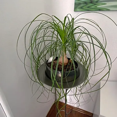 Jacky & Daniel's 2 Lägenhet Sankt Poelten