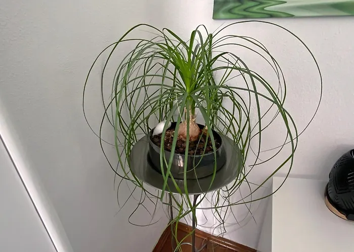 Jacky & Daniel's 2 Lägenhet Sankt Poelten